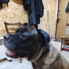 ����: ������� ������  �������� ������ � ���� ��� ��� �������� �������� � �. ��������