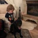 Подробнее об объявлении «Пропала собака кобель Санкт-Петербург» Фото: пропала собака  «Пропала собака кобель Санкт-Петербург» в г. Санкт-Петербург