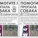 Подробнее об объявлении «Нижний Новгород Пропала собака кобель» Фото: пропала собака Сибирская хаски «Нижний Новгород Пропала собака кобель» в г. Нижний Новгород