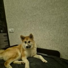 ����: ������� ������ �����-��� �������� ������ ������� ������� � �. �������