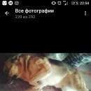 Подробнее об объявлении «Пропала собака кобель немецкая овчарка. авиамотрная Москва» Фото: пропала собака Немецкая овчарка «Пропала собака кобель немецкая овчарка....» в г. Москва