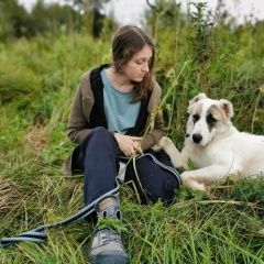 Подробнее об объявлении «Пропала собака пэрис Санкт-Петербург» Фото: пропала собака  «Пропала собака пэрис Санкт-Петербург» в г. Санкт-Петербург