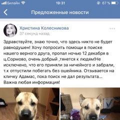 Подробнее об объявлении «Нижний Новгород Пропала собака кобель» Фото: пропала собака  «Нижний Новгород Пропала собака кобель» в г. Нижний Новгород