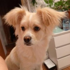 ����: ������� ������  ������� ������� ������ ����� ������ � ������ � �. ������