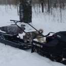 Подробнее об объявлении «Захарово Пропала собака кобель» Фото: пропала собака Западно-сибирская лайка «Захарово Пропала собака кобель» в г. Захарово