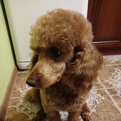 ����: ������� ������ ������ ��������� ������� ������ ������ ������� � �. ��������