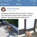 Подробнее об объявлении «Пропала собака Сочи» Фото: пропала собака Пудель «Пропала собака Сочи» в г. Сочи