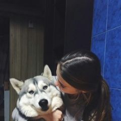 Подробнее об объявлении «Краснодар Пропала собака кобель поиск продожается» Фото: пропала собака Сибирская хаски «Краснодар Пропала собака кобель поиск продожается» в г. Краснодар
