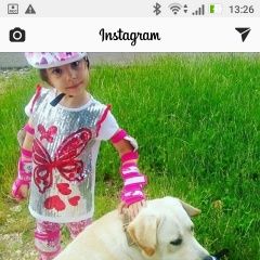 Подробнее об объявлении «Пятигорск Пропала собака кобель лабрадор» Фото: пропала собака Лабрадор ретривер «Пятигорск Пропала собака кобель лабрадор» в г. Пятигорск