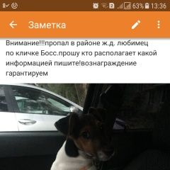 Подробнее об объявлении «Невинномысск Пропала собака кобель» Фото: пропала собака Фокстерьер «Невинномысск Пропала собака кобель» в г. Невинномысск