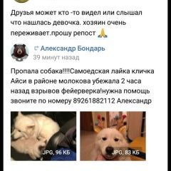 Подробнее об объявлении «Красноярск Пропала собака с ошейником на нем кличка и номер телефо» Фото: пропала собака Самоедская лайка «Красноярск Пропала собака с ошейником на нем...» в г. Красноярск