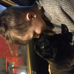 Подробнее об объявлении «Нижний Новгород Пропала собака кобель мопс чёрный» Фото: пропала собака Мопс «Нижний Новгород Пропала собака кобель мопс чёрный» в г. Нижний Новгород