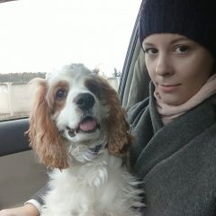 Подробнее об объявлении «Ачинск Пропала собака кобель спаниель» Фото: пропала собака Русский охотничий спаниель «Ачинск Пропала собака кобель спаниель» в г. Ачинск