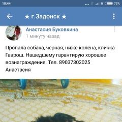 Подробнее об объявлении «Задонск Пропала собака кобель помогите найти собаку» Фото: пропала собака  «Задонск Пропала собака кобель помогите найти...» в г. Задонск