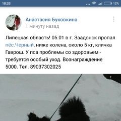 Подробнее об объявлении «Задонск Пропала собака кобель помогите пёс болен ему нужен особый ухо» Фото: пропала собака  «Задонск Пропала собака кобель помогите пёс...» в г. Задонск