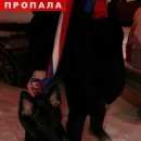 Подробнее об объявлении «Люберцы Пропала собака» Фото: пропала собака Немецкая овчарка «Люберцы Пропала собака» в г. Люберцы