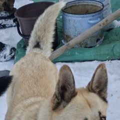 ����: ������� ������  �������� ������ ������ ���������� � �. ����������