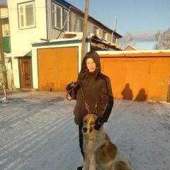 Подробнее об объявлении «Ульяновск Пропала собака» Фото: пропала собака  «Ульяновск Пропала собака» в г. Ульяновск