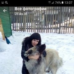 Подробнее об объявлении «Иркутск Пропала собака кобель» Фото: пропала собака Кавказская овчарка «Иркутск Пропала собака кобель» в г. Иркутск
