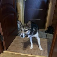 ����: ������� ������  �������� ������ ������ ������� � �. �������