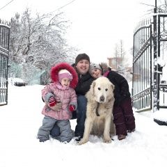 Подробнее об объявлении «Коммунар Пропала собака кобель большая, белая» Фото: пропала собака Польская низинная овчарка «Коммунар Пропала собака кобель большая, белая» в г. Коммунар