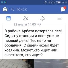 Подробнее об объявлении «Пропала собака потерялась Москва» Фото: пропала собака  «Пропала собака потерялась Москва» в г. Москва