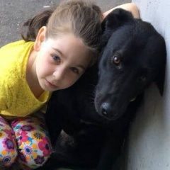 Подробнее об объявлении «Пропала собака кобель ищем собаку Москва» Фото: пропала собака  «Пропала собака кобель ищем собаку Москва» в г. Москва