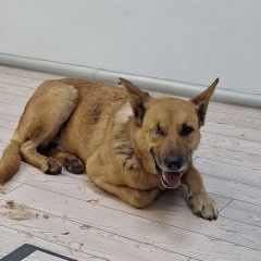 ����: ������� ������  �������� ������ ������ �����, �������, ��� �����...� � �. �������������