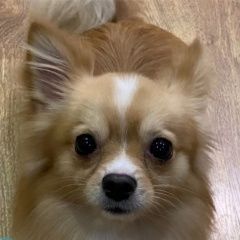 ����: ������� ������ �������� �������� ������ ������ ����� � �. �����