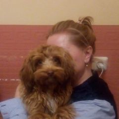 Подробнее об объявлении «Пропала собака Санкт-Петербург» Фото: пропала собака Петербургская орхидея «Пропала собака Санкт-Петербург» в г. Санкт-Петербург