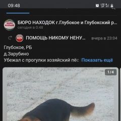 :       propala ovcharka s...  . 