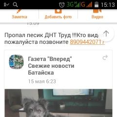 Подробнее об объявлении «Батайск Пропала собака кобель» Фото: пропала собака  «Батайск Пропала собака кобель» в г. Батайск