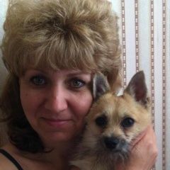 Подробнее об объявлении «Бронницы Пропала собака» Фото: пропала собака Японский шпиц «Бронницы Пропала собака» в г. Бронницы