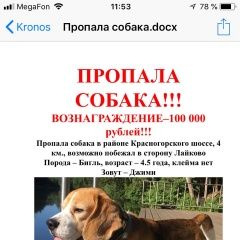 Подробнее об объявлении «Пропала собака кобель бигль 4 года Москва» Фото: пропала собака Бигль «Пропала собака кобель бигль 4 года Москва» в г. Москва