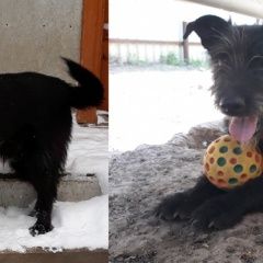 ����: ������� ������  �������� ������� ������ ������� � �. �������