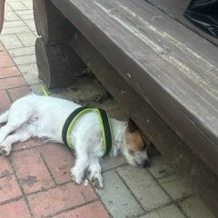 ����: None ���� ������ ������ ���������� �������� ����� � �. ���������