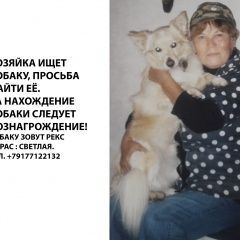 Подробнее об объявлении «Медведево Пропала собака кобель» Фото: пропала собака  «Медведево Пропала собака кобель» в г. Медведево