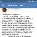 Подробнее об объявлении «Пропала собака Москва» Фото: пропала собака Сибирская хаски «Пропала собака Москва» в г. Москва