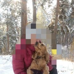 Подробнее об объявлении «Пропала собака кобель английский кокер спаниель Томск» Фото: пропала собака Английский кокер-спаниель «Пропала собака кобель английский кокер спаниель...» в г. Томск
