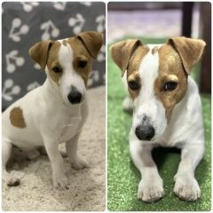 ����: ������� ������ ���� ������ ������ �������� ������� ������ ������� � �. �������