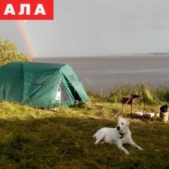 Подробнее об объявлении «Кострома Пропала собака среднеазиатская овчарка» Фото: пропала собака Среднеазиатская овчарка «Кострома Пропала собака среднеазиатская овчарка» в г. Кострома