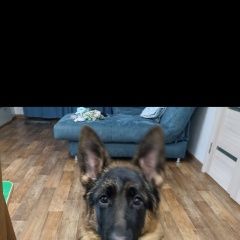 ����: ������� ������ �������� ������� �������� ������ ����� �������, ����������,...� � �. ���������