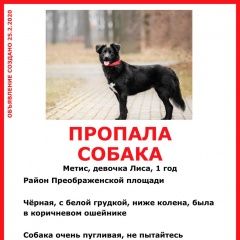 Подробнее об объявлении «Пропала собака убежала собака в районе метро преображен Москва» Фото: пропала собака  «Пропала собака убежала собака в районе метро...» в г. Москва