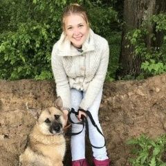 Подробнее об объявлении «Железнодорожный (Московск.) Пропала собака, в темниково спо ветеран» Фото: пропала собака  «Железнодорожный (Московск.) Пропала собака, в...» в г. Железнодорожный (Московск.)