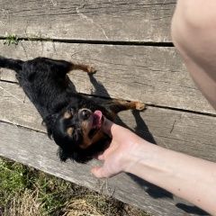����: ������� ������ ���-������ ������������ ������� ������ � �. �����������