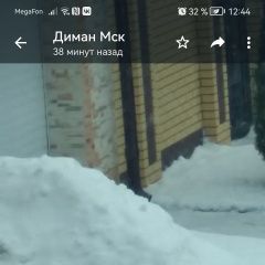 Подробнее об объявлении «Пропала собака кобель зовут султан Чебоксары» Фото: пропала собака  «Пропала собака кобель зовут султан Чебоксары» в г. Чебоксары