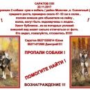 Подробнее об объявлении «Пропала собака кобель Саратов» Фото: пропала собака  «Пропала собака кобель Саратов» в г. Саратов
