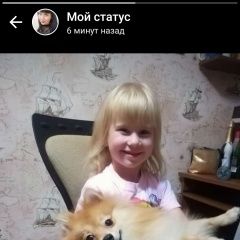 Подробнее об объявлении «Пропала собака кобель шпиц кобель. Ростов-на-Дону» Фото: пропала собака Померанский шпиц «Пропала собака кобель шпиц кобель. Ростов-на-Дону» в г. Ростов-на-Дону
