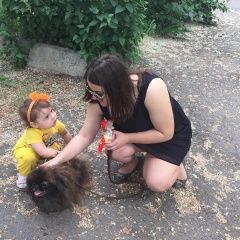 Подробнее об объявлении «Пропала собака кобель слепой пекинесик Шахты» Фото: пропала собака Пекинес «Пропала собака кобель слепой пекинесик Шахты» в г. Шахты