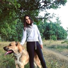 Подробнее об объявлении «Пропала собака кобель Чебоксары» Фото: пропала собака Среднеазиатская овчарка «Пропала собака кобель Чебоксары» в г. Чебоксары